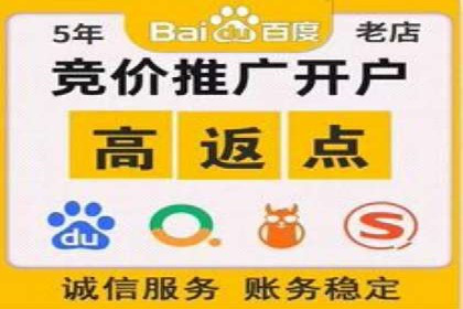 百度SEO推广技巧案例分析